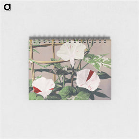 アートメモ帳-Striped Bindweed Flowers - 小川 一正 Memo.