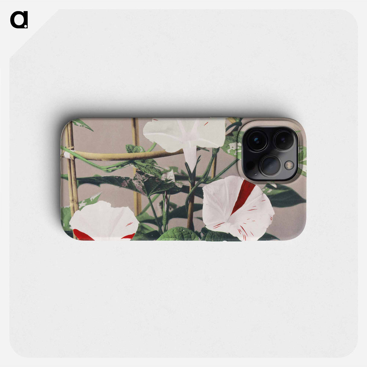 Striped Bindweed Flowers - 小川 一正 Phone Case.