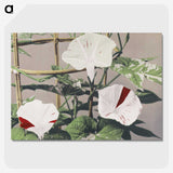 1-45_Ogawa-Kazumasa_picture-crop