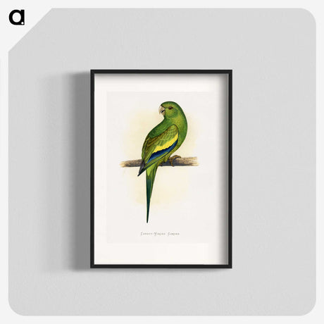 1-45_Parrots-in-Captivity_blk