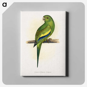 1-45_Parrots-in-Captivity_canvas