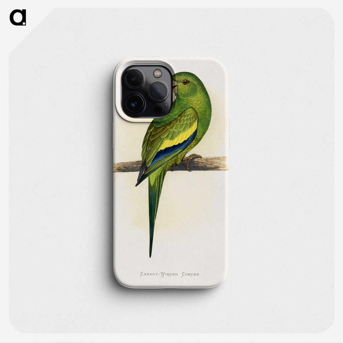 1-45_Parrots-in-Captivity_phone