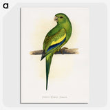 1-45_Parrots-in-Captivity_picture-crop