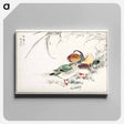 アートパネル-Mandarin Duck and Pearl Barley
 - 鳥類図鑑 Canvas.