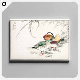 アートパネル-Mandarin Duck and Pearl Barley
 - 鳥類図鑑 Canvas.