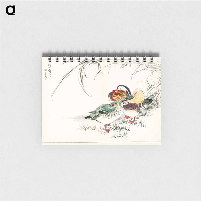 アートメモ帳-Mandarin Duck and Pearl Barley
 - 鳥類図鑑 Memo.