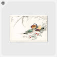 アートポストカード-Mandarin Duck and Pearl Barley
 - 鳥類図鑑 Postcard.