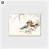 アートポストカード-Mandarin Duck and Pearl Barley
 - 鳥類図鑑 Postcard.
