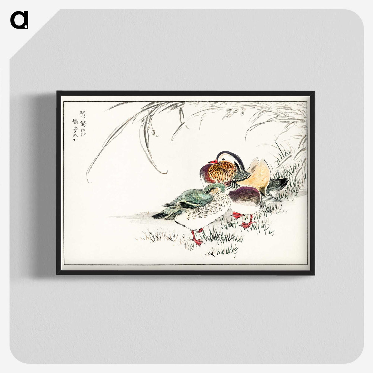 1-45_Pictorial-Monograph-of-Birds_blk-crop