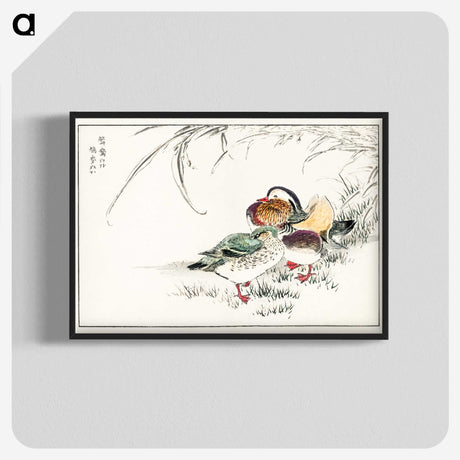 1-45_Pictorial-Monograph-of-Birds_blk-crop