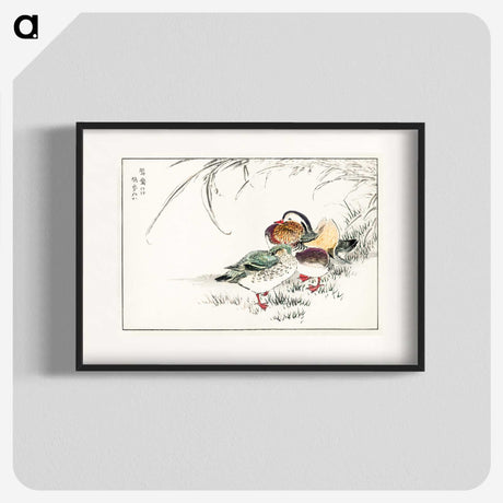 1-45_Pictorial-Monograph-of-Birds_blk