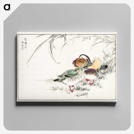 1-45_Pictorial-Monograph-of-Birds_canvas