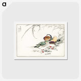 1-45_Pictorial-Monograph-of-Birds_hagaki