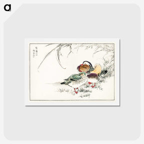 1-45_Pictorial-Monograph-of-Birds_hagaki