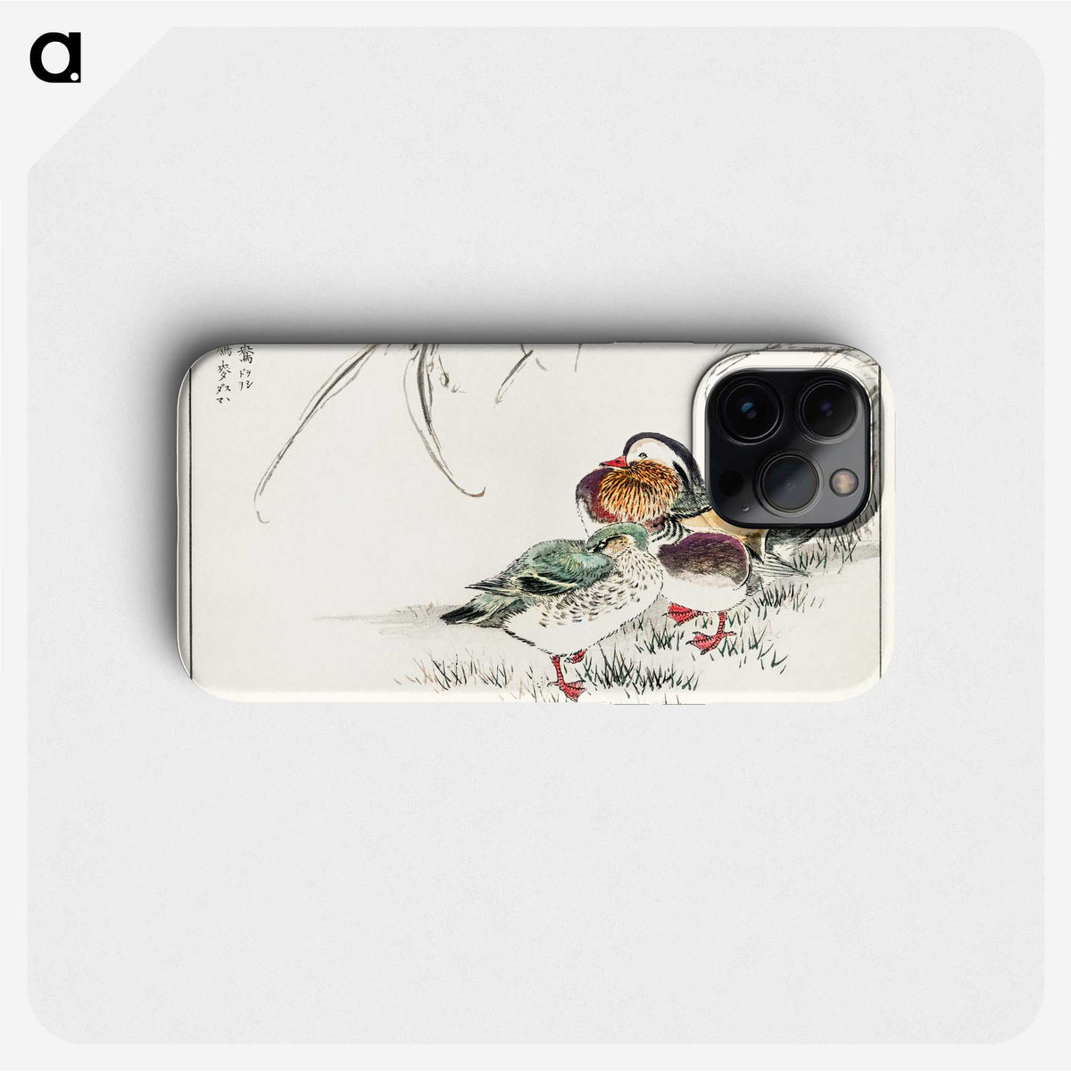 1-45_Pictorial-Monograph-of-Birds_phone