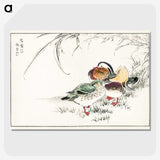 1-45_Pictorial-Monograph-of-Birds_picture-crop