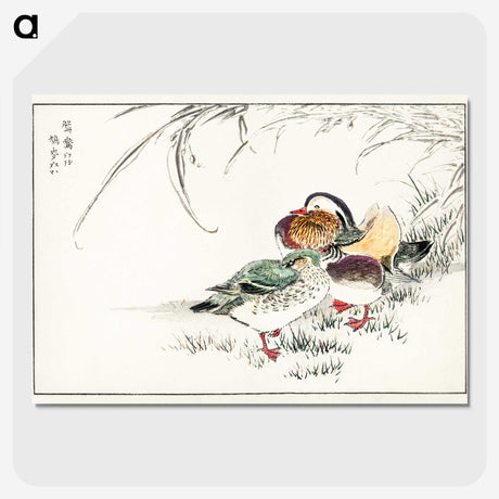 1-45_Pictorial-Monograph-of-Birds_picture-crop