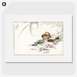 1-45_Pictorial-Monograph-of-Birds_picture