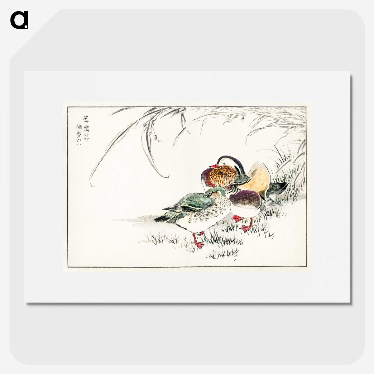 1-45_Pictorial-Monograph-of-Birds_picture