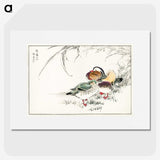 1-45_Pictorial-Monograph-of-Birds_picture