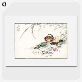 1-45_Pictorial-Monograph-of-Birds_picture