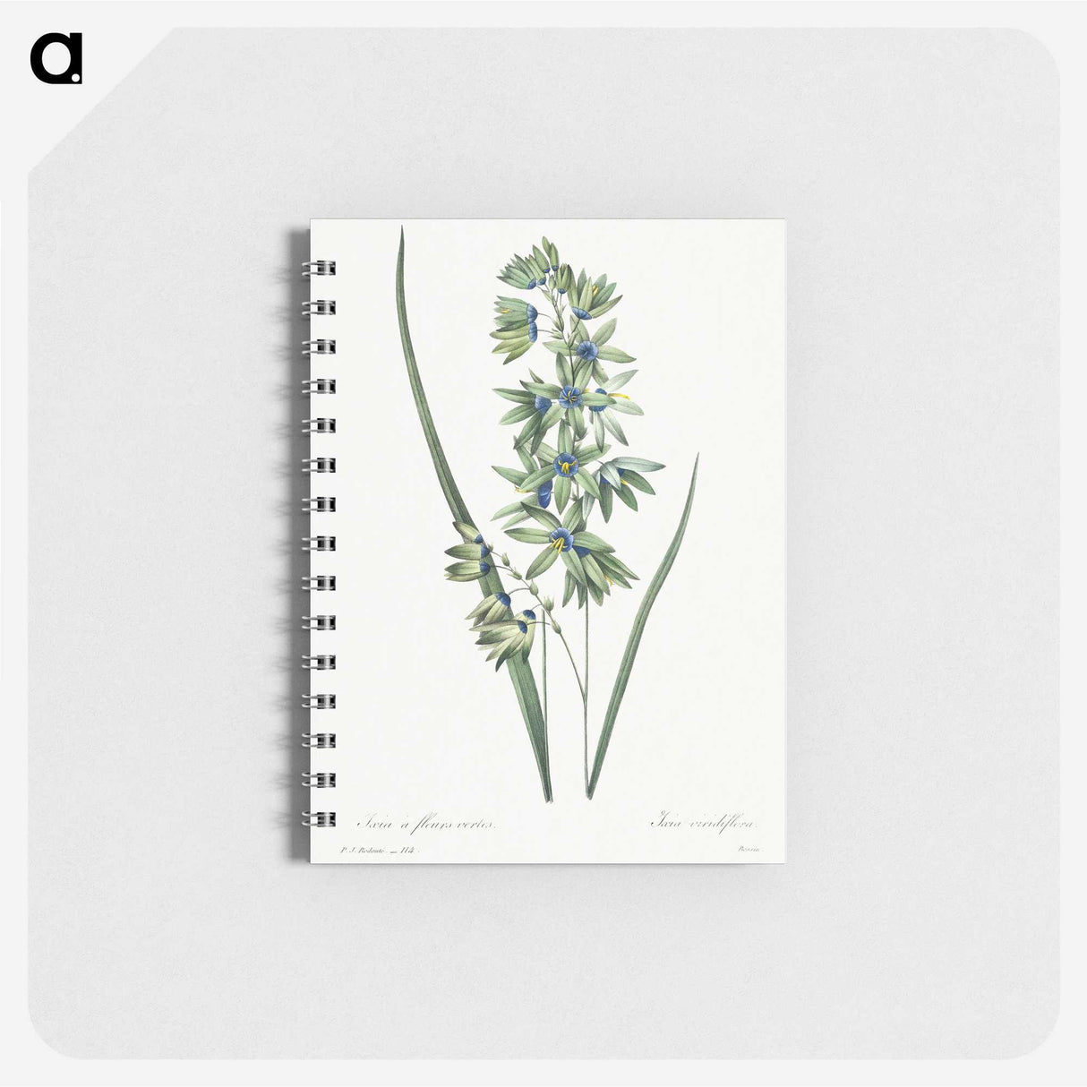 1-45_Pierre-Joseph-Redoute_memo
