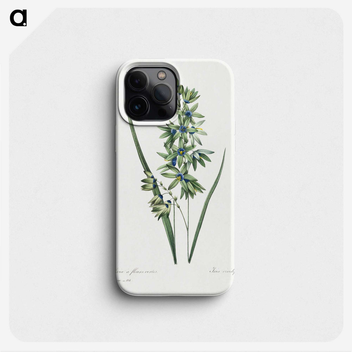 1-45_Pierre-Joseph-Redoute_phone