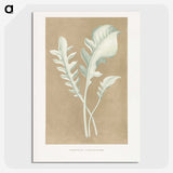 1-45_Plants-with-Colored-Foliage_picture-crop