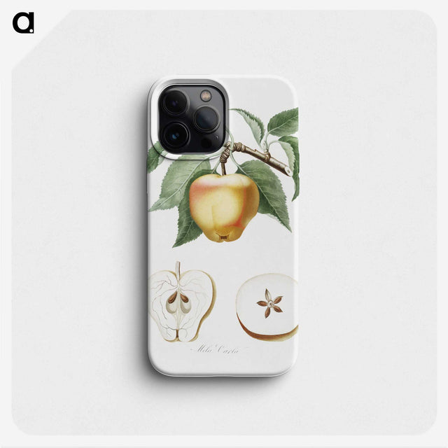 1-45_Pomona-Italiana_phone