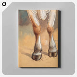 Forelegs of a Standing Cow or Ox, Newport by Samuel Colman - サミュエル コールマン Canvas.