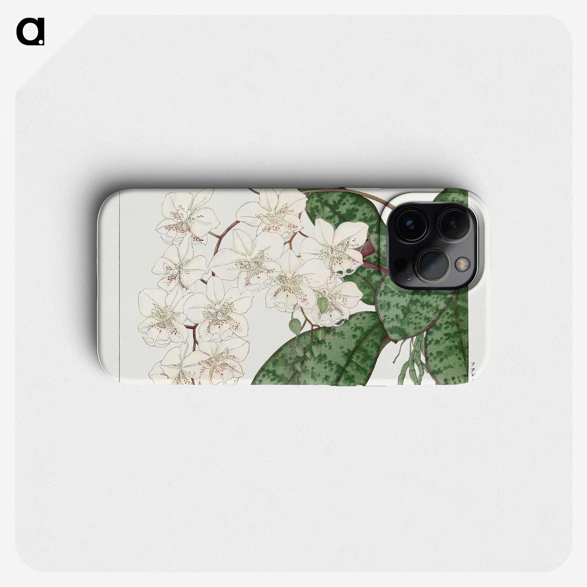 1-45_Seiyo-Soka-Zufu_phone