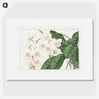 1-45_Seiyo-Soka-Zufu_picture