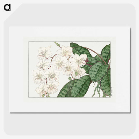 1-45_Seiyo-Soka-Zufu_picture