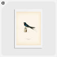 アートポストカード-Barn Swallow Male
 - スヴェンスカ フォグラル Postcard.