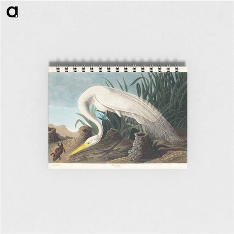 アートメモ帳-White Heron from Birds of America
 - アメリカの鳥たち Memo.