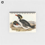 アートメモ帳-Crested Penguin
 - オーストラリアの鳥 Memo.