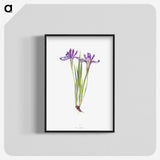 1-45_The-Genus-Iris_blk-crop