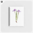1-45_The-Genus-Iris_memo