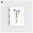 アートメモ帳-Iris Ruthenica from The Genus Iris
 - アヤメ属 Memo.