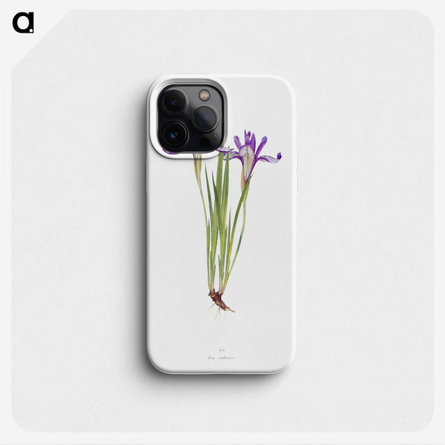 1-45_The-Genus-Iris_phone