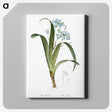 1-45_The-Lilies_canvas