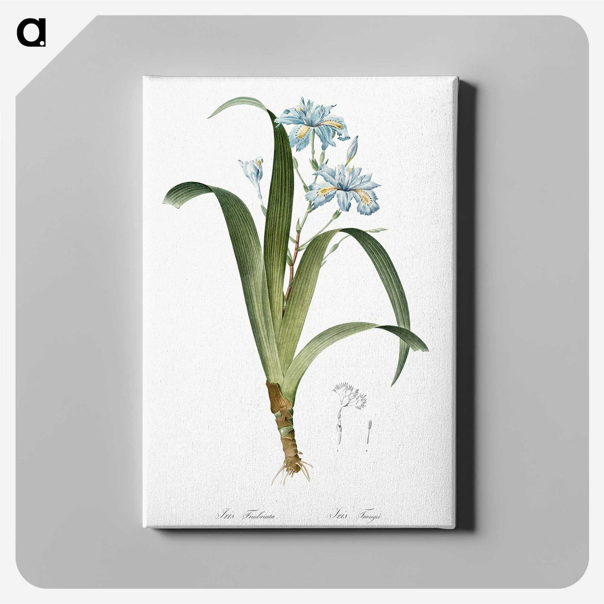 1-45_The-Lilies_canvas