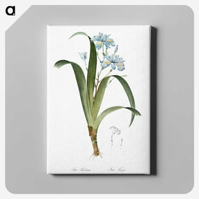 1-45_The-Lilies_canvas