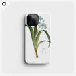 1-45_The-Lilies_phone