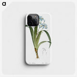 1-45_The-Lilies_phone