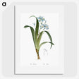 1-45_The-Lilies_picture