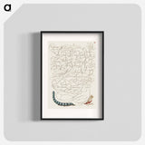 アートポスター-Caterpillar and Insect from Mira Calligraphiae Monumenta
 - 書道のお手本 Poster.