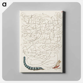 アートパネル-Caterpillar and Insect from Mira Calligraphiae Monumenta
 - 書道のお手本 Canvas.