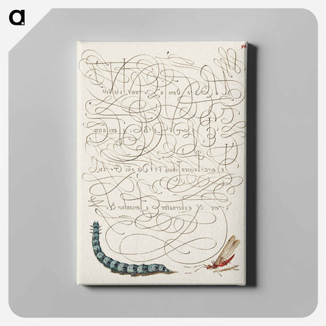 アートパネル-Caterpillar and Insect from Mira Calligraphiae Monumenta
 - 書道のお手本 Canvas.