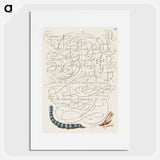 アートポスター-Caterpillar and Insect from Mira Calligraphiae Monumenta
 - 書道のお手本 Poster.